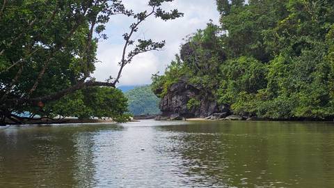       Scenic river view with lush greenery and rocky formations.
  
