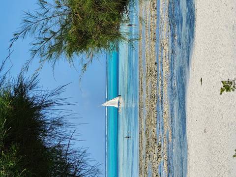 Scenic beach view with turquoise water and a sailboat in the distance.