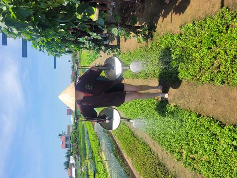 Person carrying water cans on shoulders in a green field.