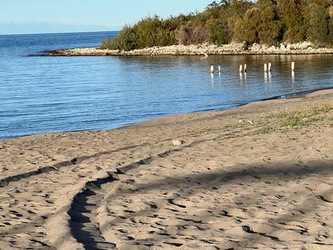       A sandy beach with a gentle shoreline and blue waters.
  