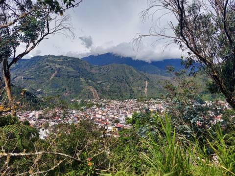 Town surrounded by mountains viewed through a foreground of trees.