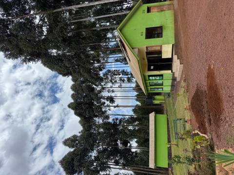 Green-roofed building in a forest setting.