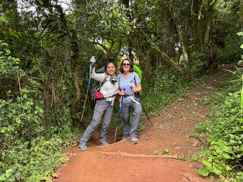       Two hikers on a forest trail.
  
