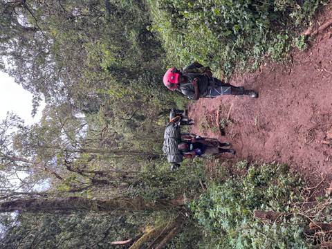 Hikers on a trail in the forest with backpacks.