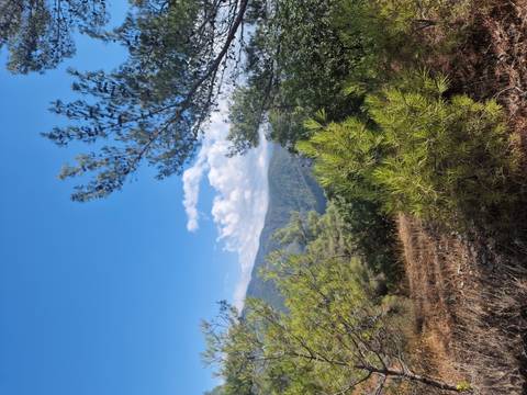 View of lush mountains and trees.