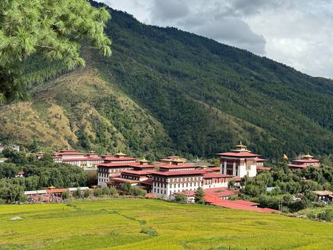       Scenic view of Bhutanese architecture amidst lush green hills.
  