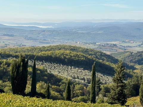 Rolling hills with olive groves and expansive views.