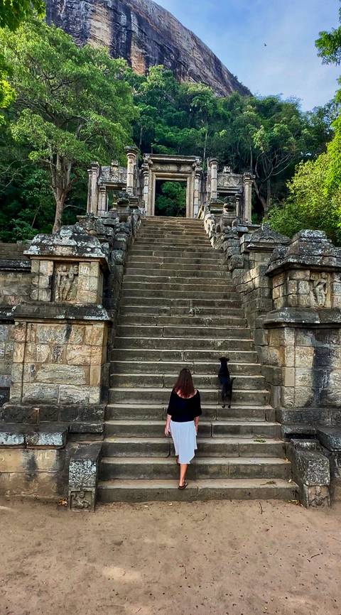       Ancient stone steps leading upwards with a person and a dog
  