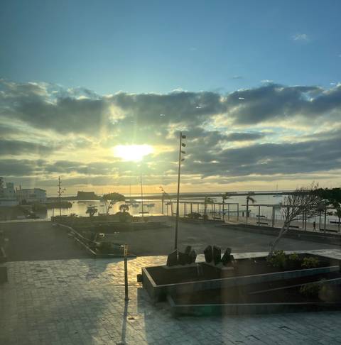       Beautiful sunset over a harbor with palm trees.
  