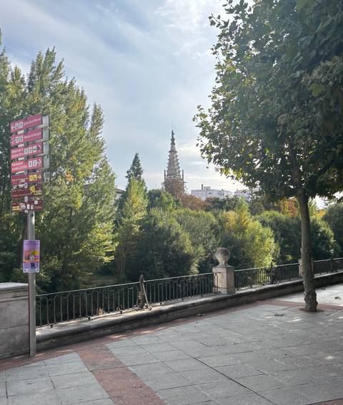 Distant view of a spire amidst trees.