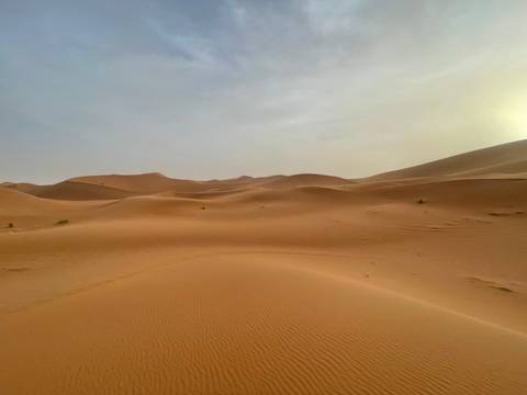Vast desert landscape with rolling sand dunes.