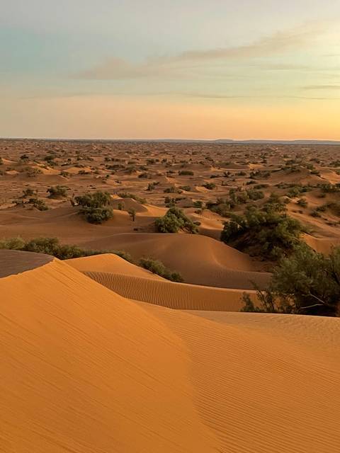 Vast sand dune landscape with sparse vegetation at sunset.