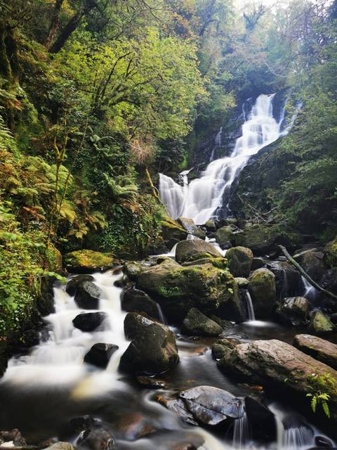       A scenic waterfall cascading over mossy rocks.
  