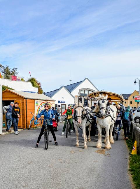       Town scene with bicycles, horse-drawn carriages, and pedestrians.
  