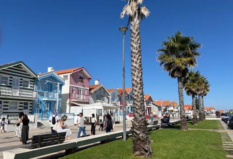       Colorful beach houses and palm trees under a clear blue sky.
  