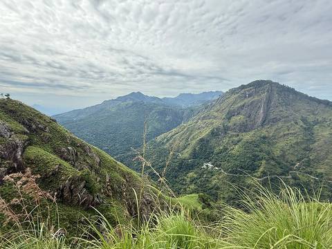 Klantbeoordelingsfoto van Sri Lanka 10 dagen Rondreis door  – Het beste van Sri Lanka  – Volledig privé –Rondreis door 