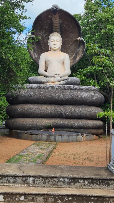 Large Buddha statue in a park setting.
