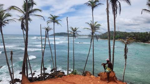 Scenic beach view with palm trees and a person sitting.