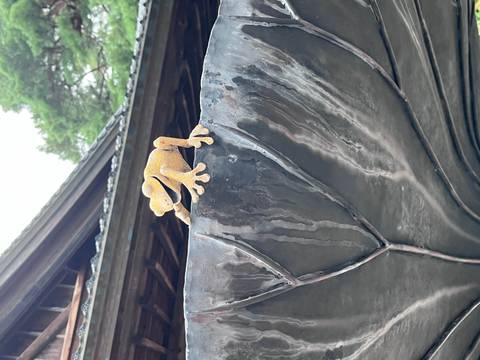 Statue of a frog on a metal structure with a background of a building and trees.