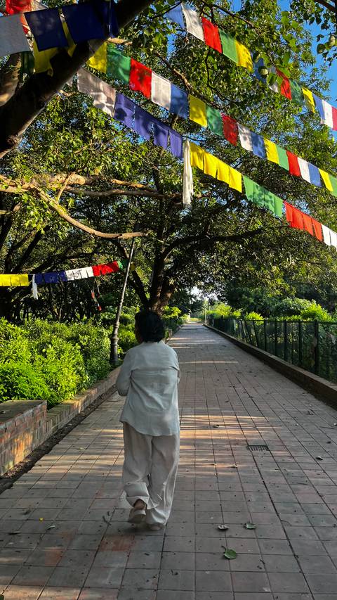       A person walking along a path with trees and prayer flags.
  