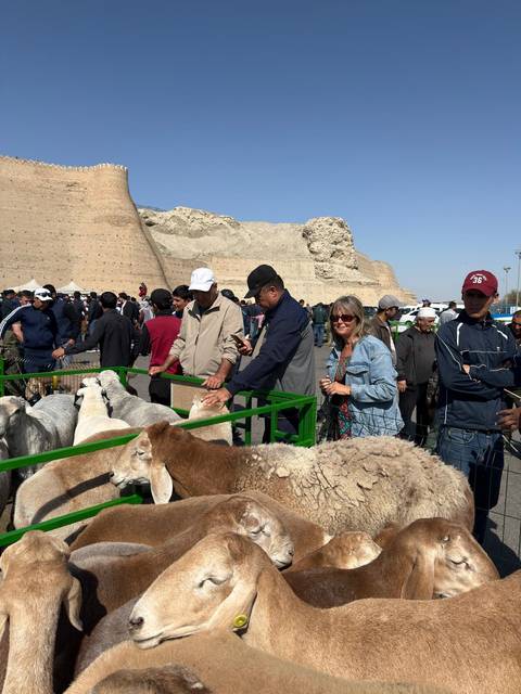 Market scene with people and sheep in a desert-like area.