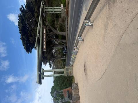       Iconic Great Ocean Road entrance with surrounding greenery.
  
