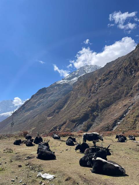       Mountain landscape with blue sky and snow-capped peaks.
  