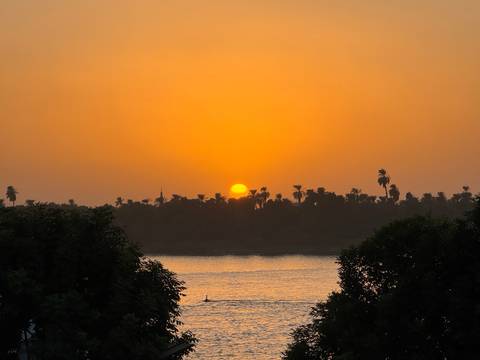       Sunset over river with silhouetted palm trees.
  