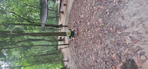       A person emerging from a small hole in a forest area.
  