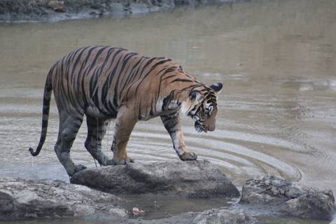       Inside a cave with lit altars and carved statues.
  