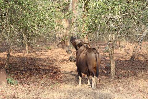       Colorful European-style architecture with a central fountain.
  