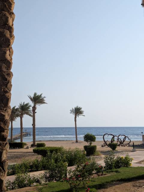 Palm trees by the sea under a clear sky.
