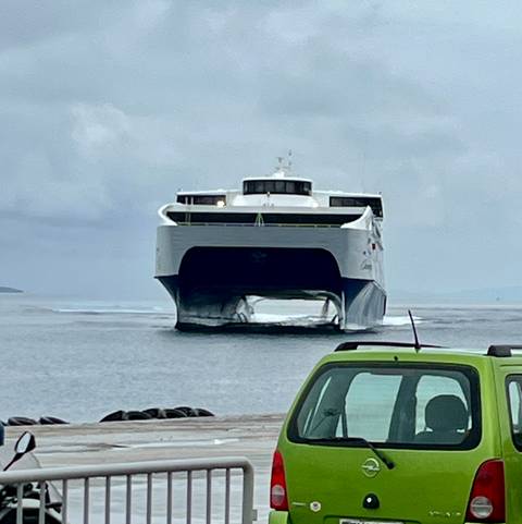 Person beside a large white pelican on a street.