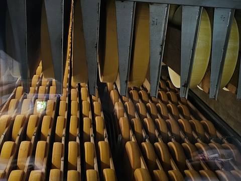 Stacked cheese wheels aging in a storage facility.