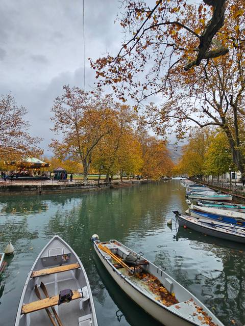       River with boats docked alongside a tree-lined pathway.
  