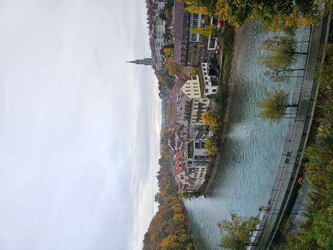       River view of a town with historical buildings and a church tower.
  