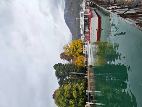 Boats moored in a lively harbor area with trees in the background.