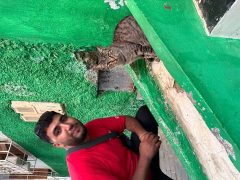 Person with a cat in front of a green wall