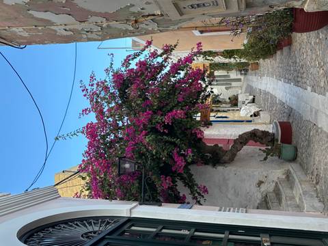       Street with blooming flowers in a quaint village.
  