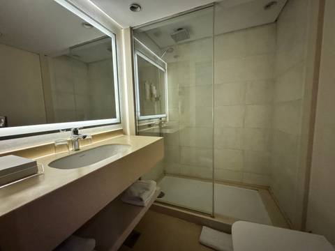 Modern bathroom with shower, sink, and large mirror.