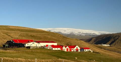 Red-roofed houses with distant snow-covered landscape.