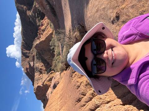 A person seated with an eagle on a mountaintop.