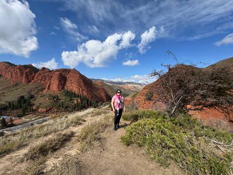 A person standing in front of a scenic canyon.