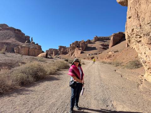 A person trekking through a rocky desert landscape.
