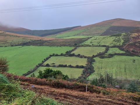 Rolling hills with a patchwork of green fields and hedgerows.