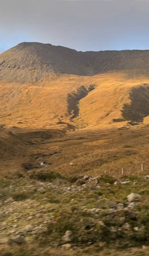       Golden hills with minimal vegetation.
  