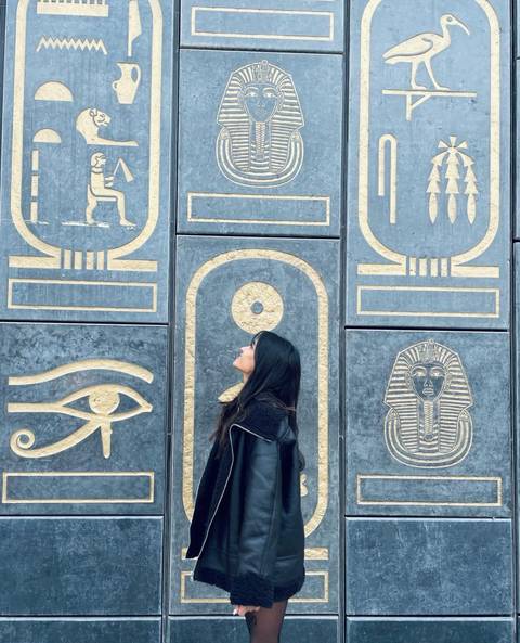       Person looking at ancient Egyptian inscriptions on a stone wall.
  