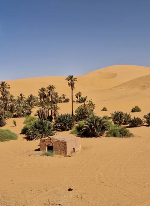 Oasis with palm trees in a desert landscape.
