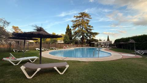 Circular swimming pool in a garden setting, under a blue sky.