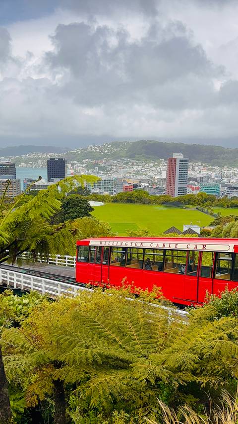       Wellington Cable Car with cityscape in the background.
  